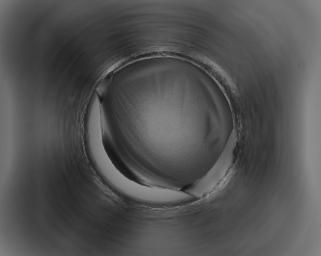 X0000086750977200705111651