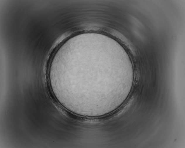 X0000086750978200705111651