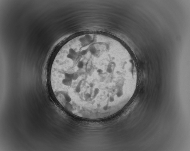 X0000086750979200705111651