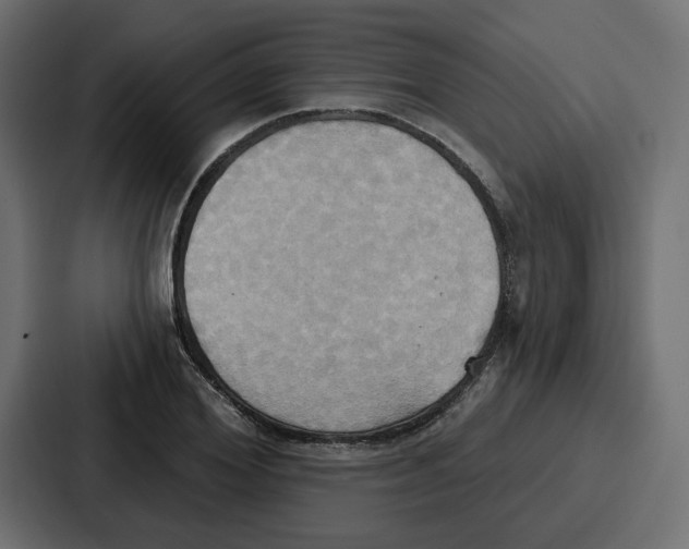 X0000086750980200705111651