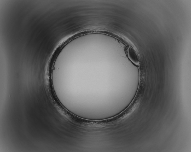 X0000086750981200705111651