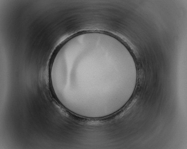 X0000086750982200705111651