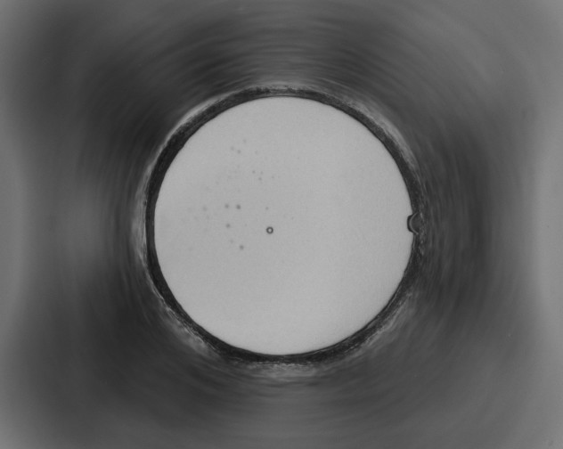 X0000086750984200705111651