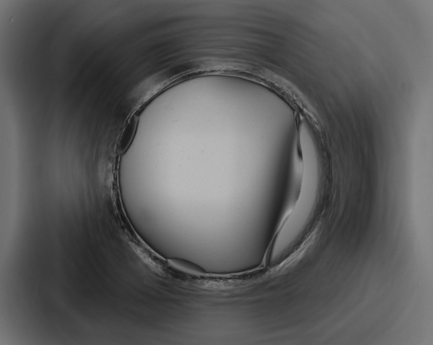X0000086750985200705111651