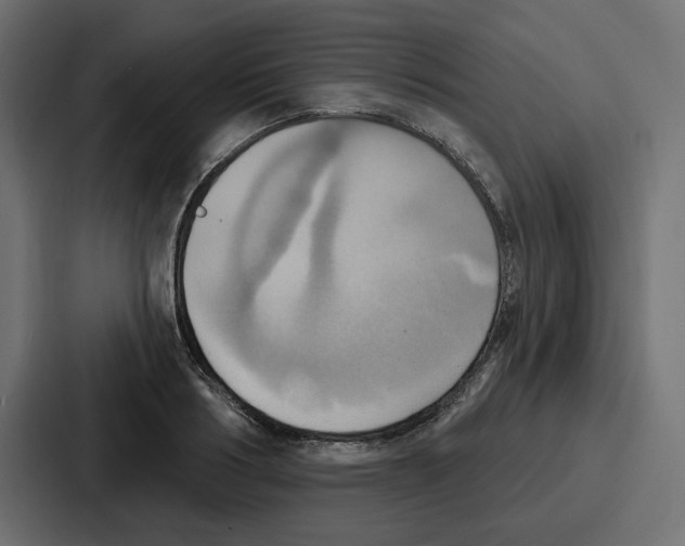 X0000086750986200705111651