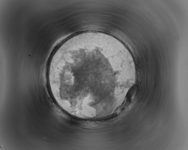 X0000086750987200705111651