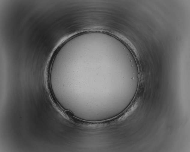 X0000086750989200705111651