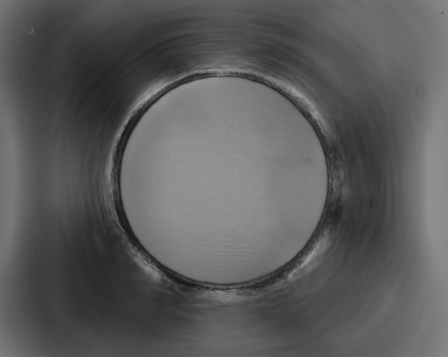X0000086750990200705111651
