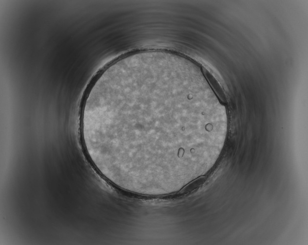 X0000086750992200705111651