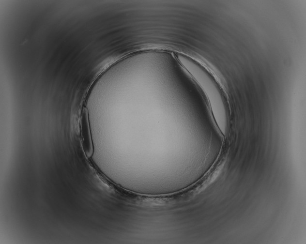 X0000086750993200705111651