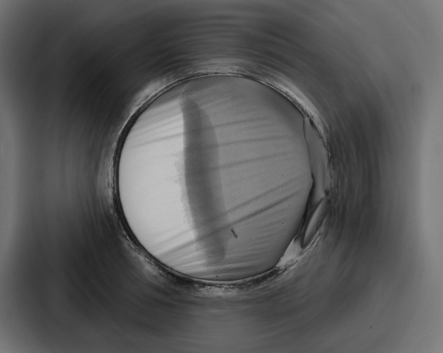 X0000086750994200705111651