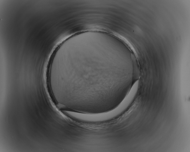 X0000086750995200705111651