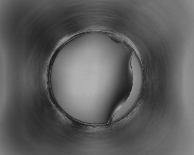 X0000086750997200705111651
