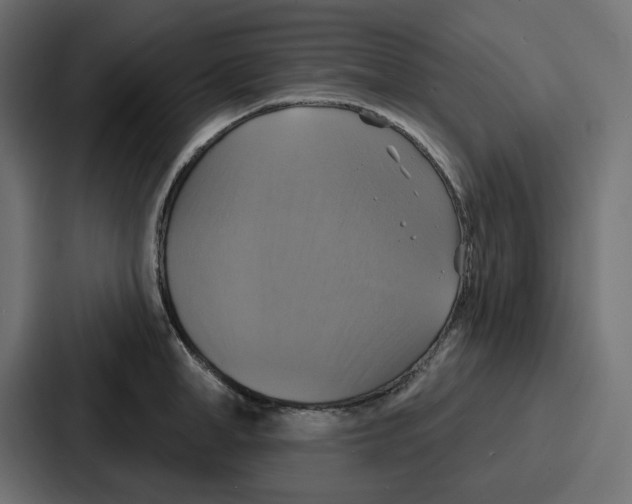 X0000086750998200705111651