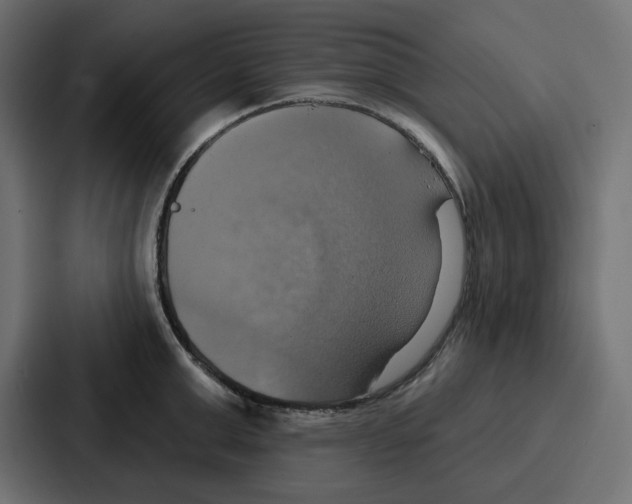 X0000086750999200705111651