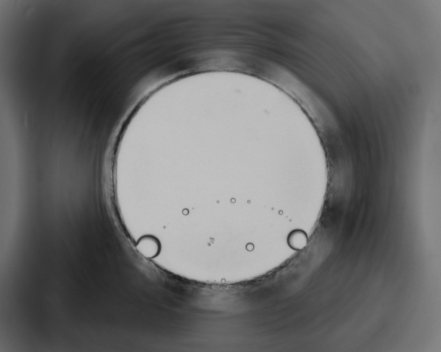 X0000086751000200705111651