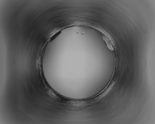 X0000086751001200705111651