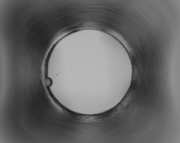 X0000086751003200705111651