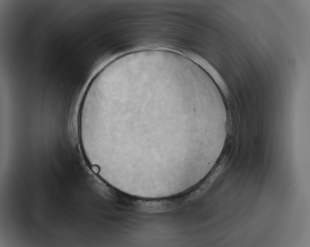 X0000086751004200705111651