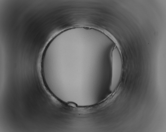 X0000086751005200705111651
