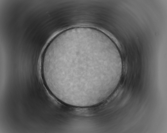 X0000086751006200705111651
