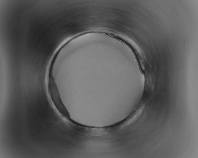 X0000086751007200705111651