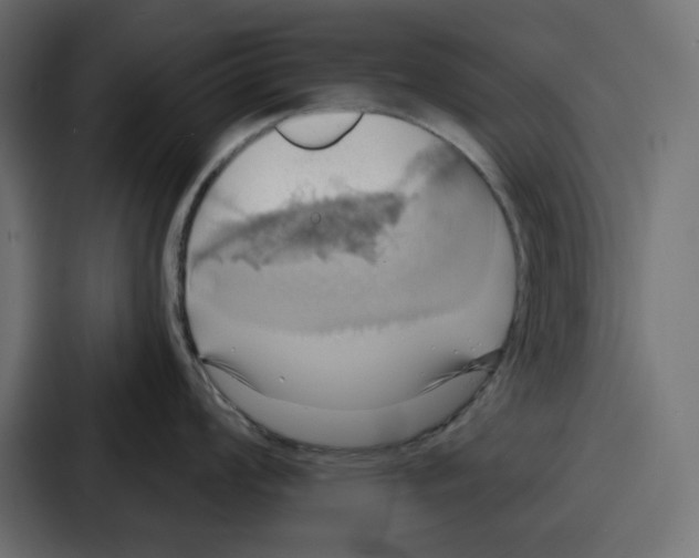 X0000086751008200705111651