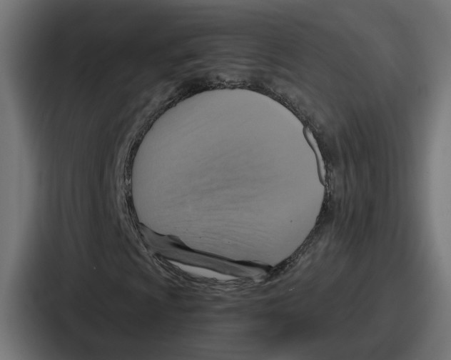 X0000086751009200705111650