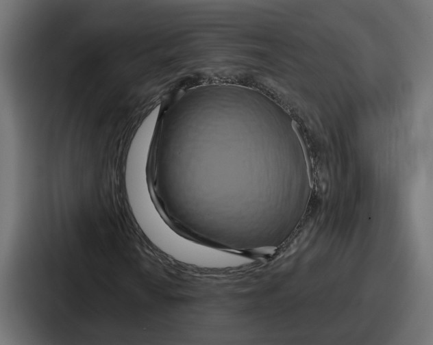 X0000086751010200705111650