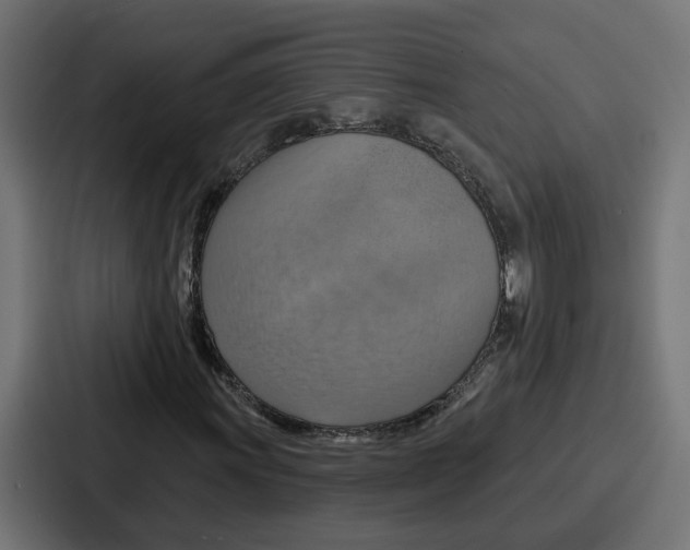 X0000086751011200705111650