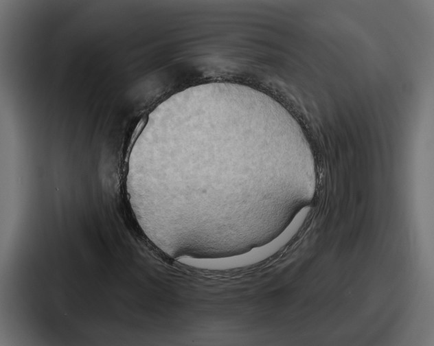 X0000086751012200705111650