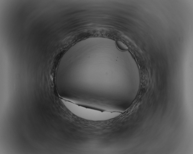 X0000086751013200705111650