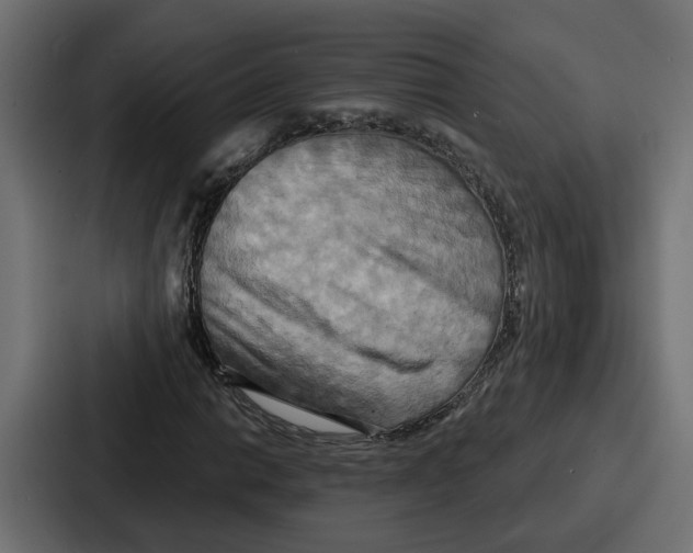X0000086751014200705111650