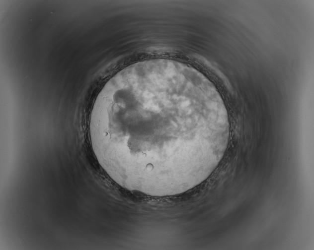 X0000086751015200705111650