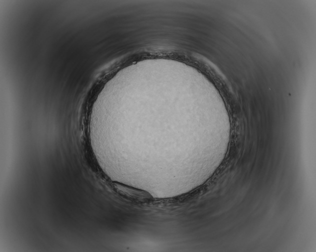 X0000086751016200705111650