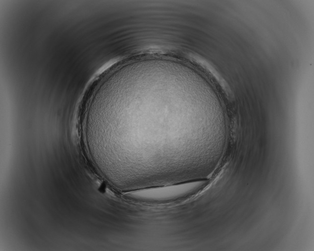 X0000086751018200705111650