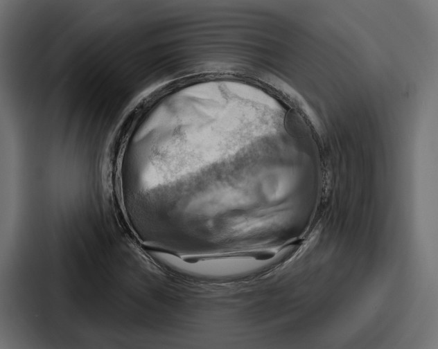 X0000086751019200705111650