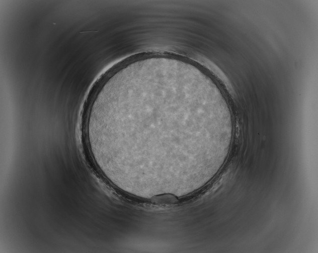 X0000086751020200705111650