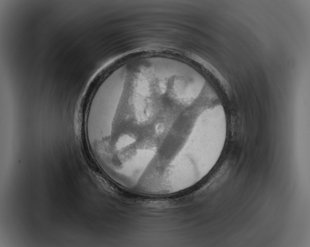 X0000086751021200705111650
