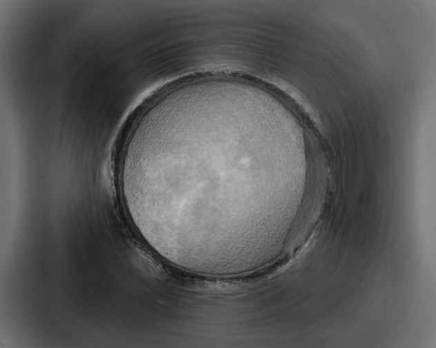 X0000086751022200705111650