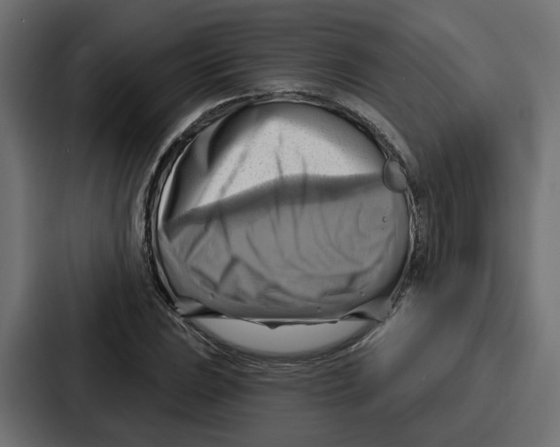X0000086751023200705111650