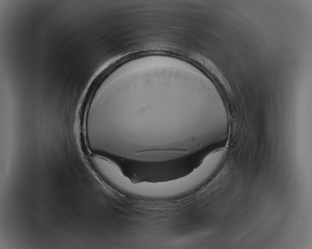 X0000086751024200705111650