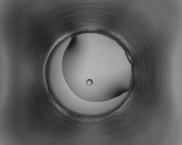 X0000086751026200705111650