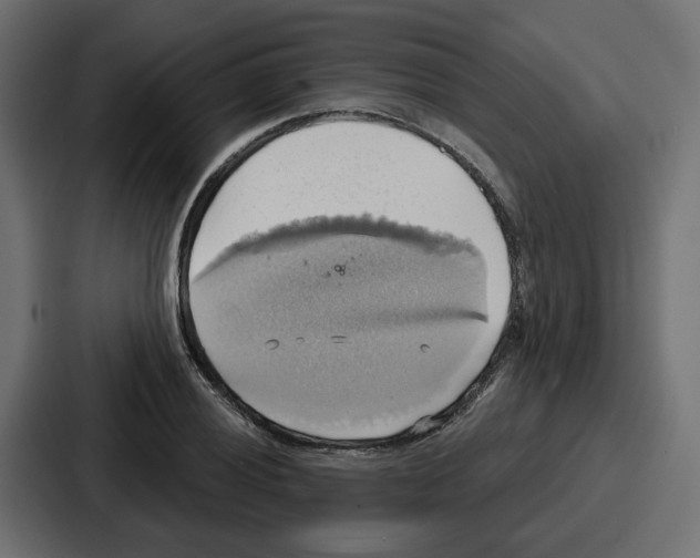 X0000086751028200705111650
