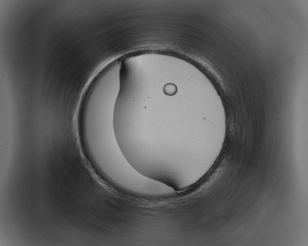 X0000086751030200705111650