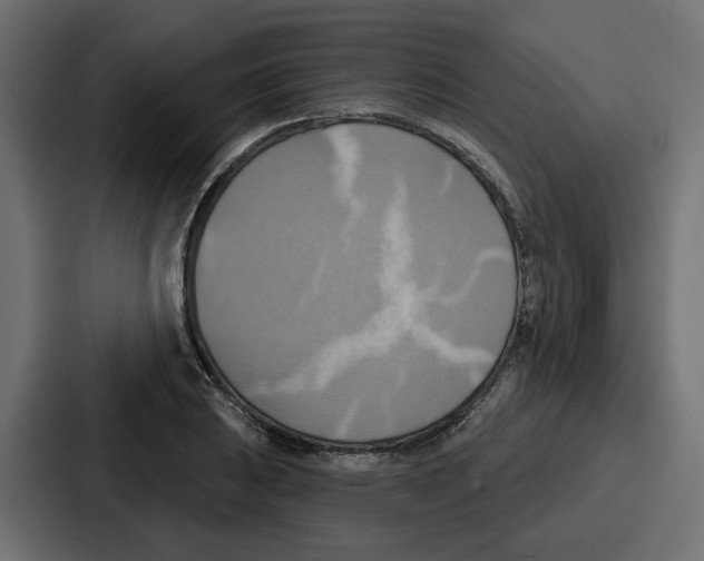 X0000086751031200705111651