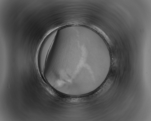 X0000086751035200705111651