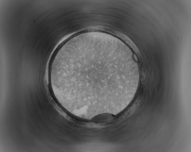 X0000086751036200705111651