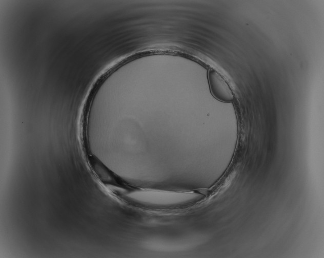 X0000086751037200705111651
