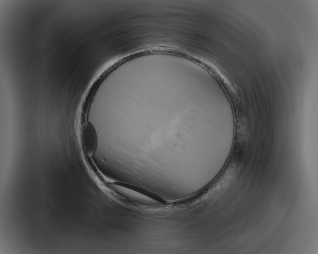 X0000086751038200705111651